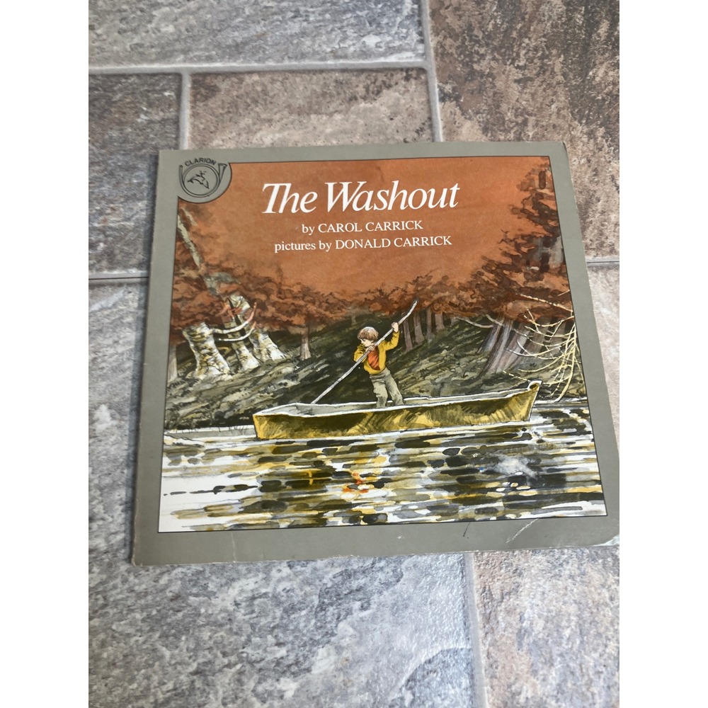 The Washout Picture Book‎ by Carol Carrick Hardcover Childrens Story